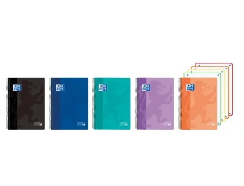Cuaderno europeanbook 4 tapa plástico classic A5+ 120H vivos oxford 400196863